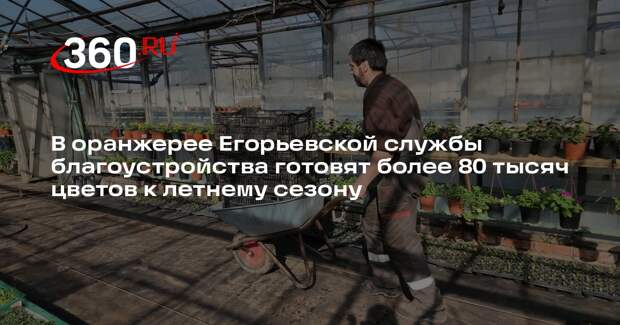 В Егорьевске готовятся к летнему сезону озеленения