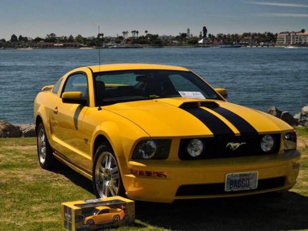 авто, ford, mustang