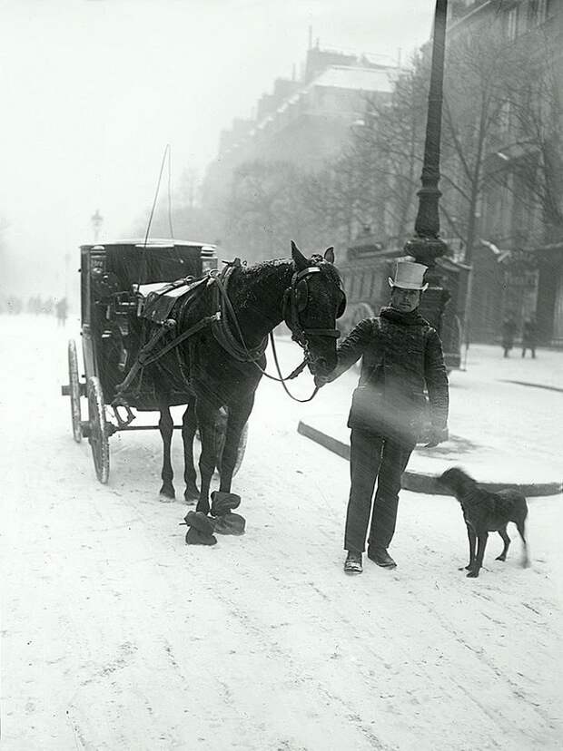 Лошадь на Парижском бульваре (1908 г.) Весь Мир в объективе, ретро, старые фото
