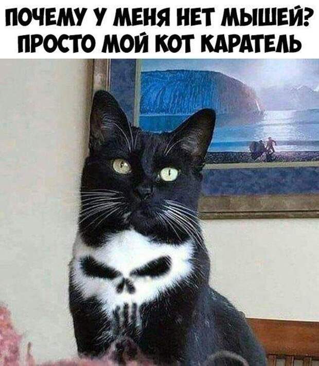 Подборка картинок. Вечерний выпуск (24 фото)