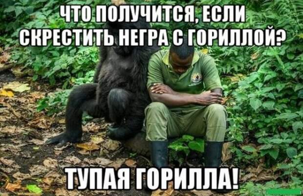 Картинки и мемы для настроения