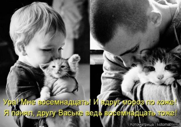 Забавные котоматрицы