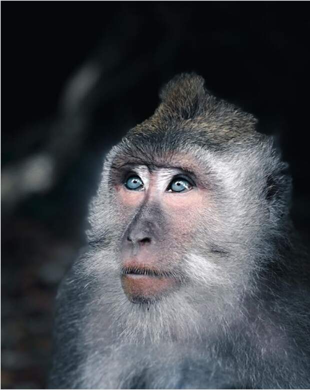 10 самых неповторимых фотографий 2019 года по версии National Geographic