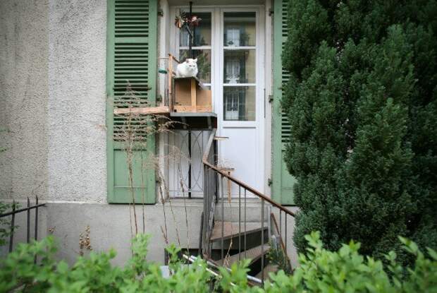 В Швейцарии делают специальные лестницы для кошек берн, городское пространство, интересно, кошки, лестницы, приспособления, традиция, швейцария
