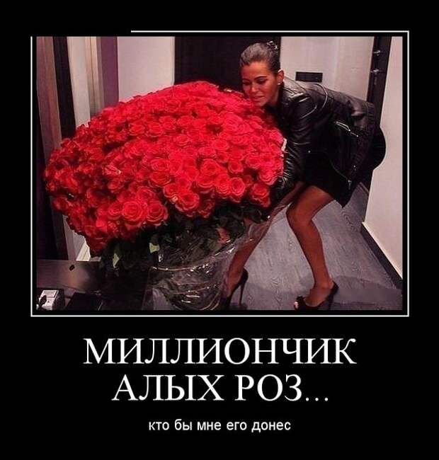 Демотиваторы (30 фото)