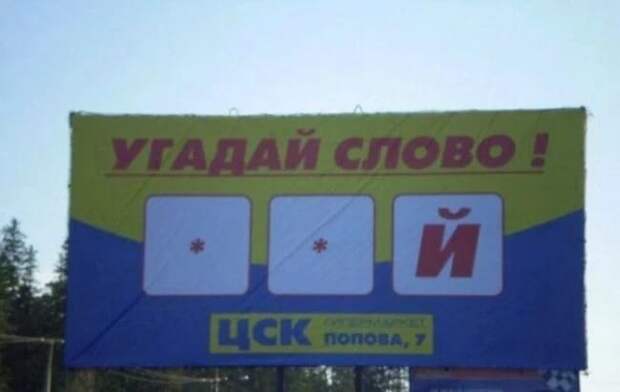 wp.com