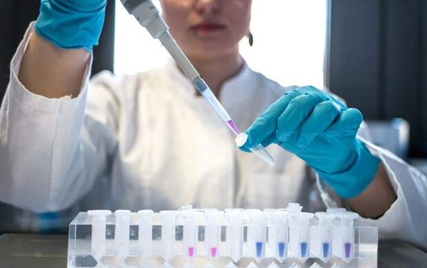 БФУ откроет две новые лаборатории для прикладных исследований в области биотехнологий