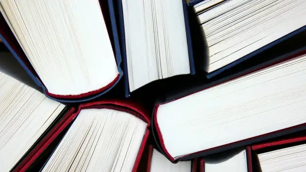 В Москве презентовали книгу о поисковом отряде «Лиза Алерт»