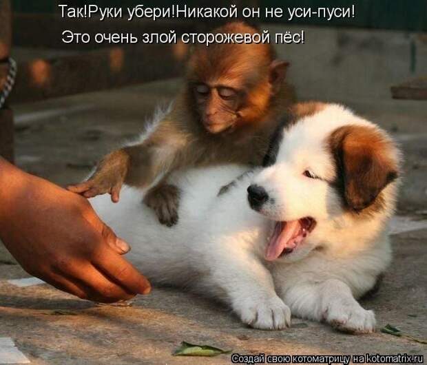 Мысли вслух :)