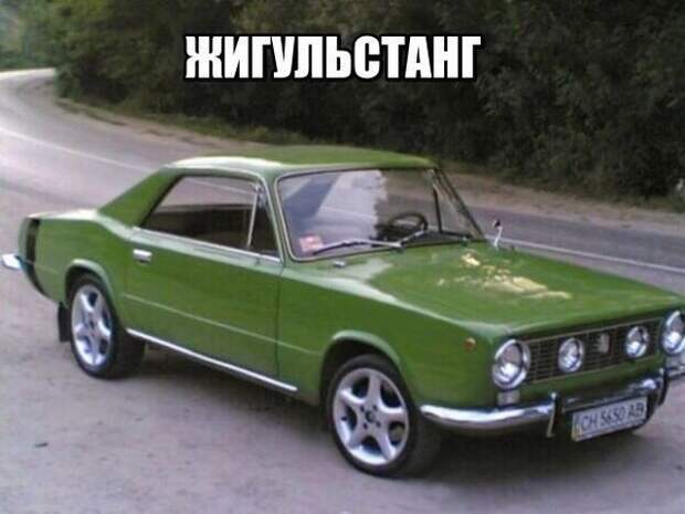 Смешные картинки с подписями (20 картинок)