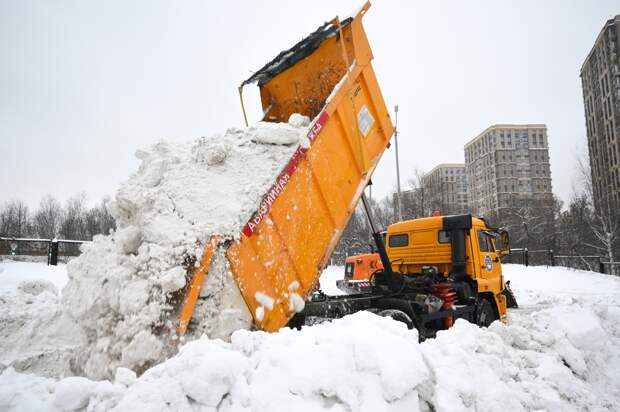 Выпавший в Москве объем снега оценили