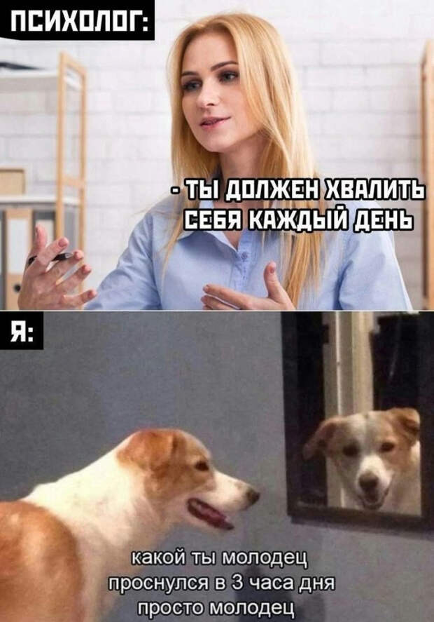 мем