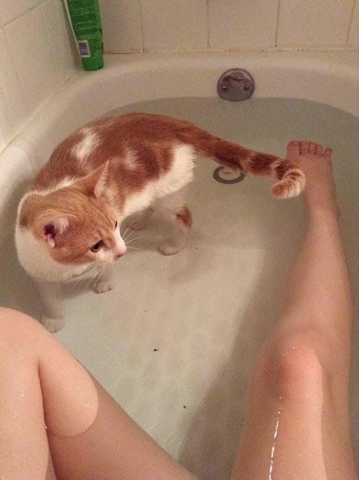 Немного прикольных фото