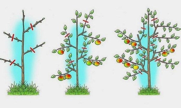 3937411_NnKorZdBFgw (604x361, 49Kb)