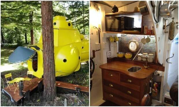 В новозеландском лесу выросла собственная Yellow Submarine В новозеландском лесу выросла собственная Yellow Submarine