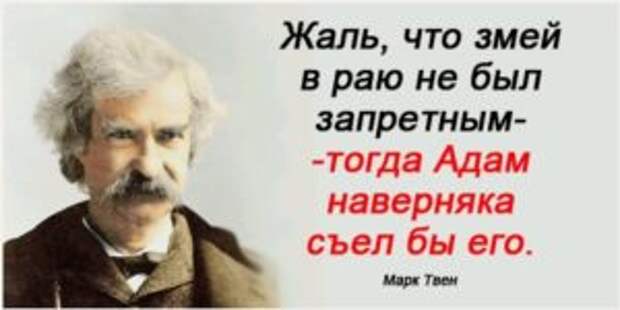 Интересные цитаты