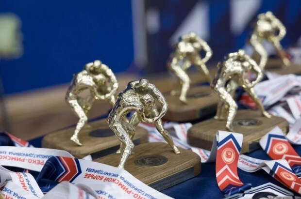 В Туле стартовали Всероссийские соревнования по греко-римской борьбе