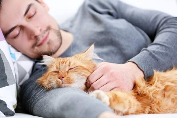 young-man-and-cat