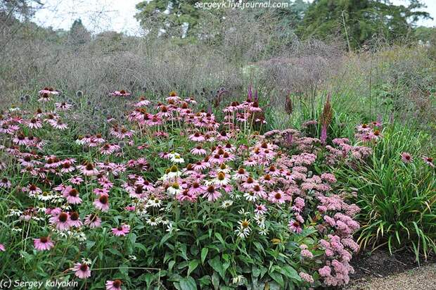 Trantham Gardens 096.JPG