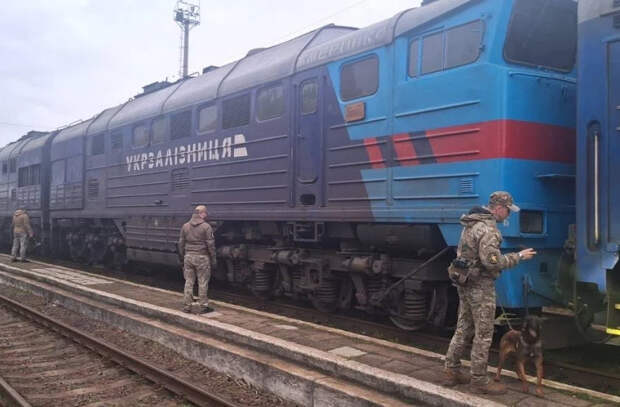 Полиция дала официальные разъяснения по инциденту с поездом Бухарест–Киев