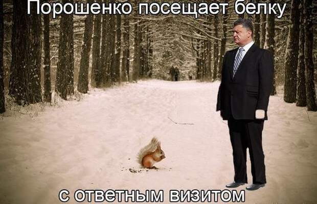 OkPtaQ_Tfi0