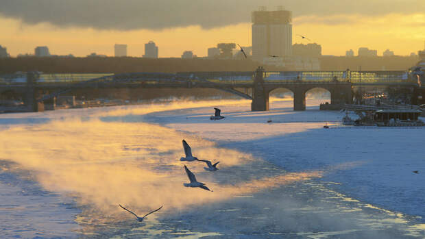 Вильфанд: морозы до -9°C начнутся в Москве с 25 ноября