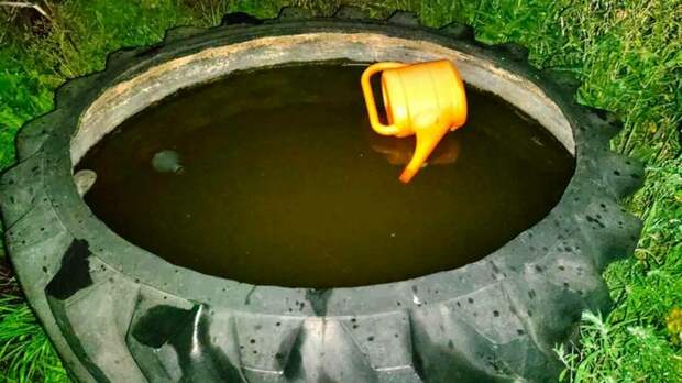 Фото: пресс-служба СУ СКР по Алтайскому краю