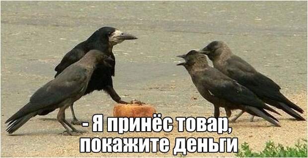 30 прикольных зарядов на всю неделю