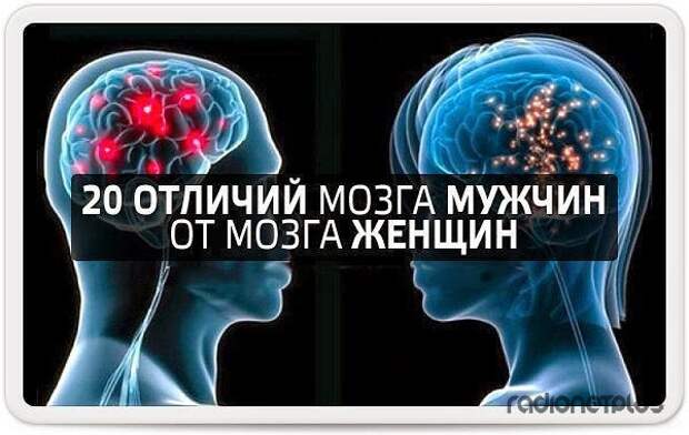 Мозг мужчин различия. Мозг мужчины и женщины различия. Мозг мужчины. Мозг мужчины и женщины. Мужской и женский мозг.
