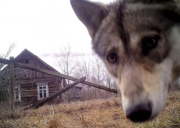 Неделя в фотографиях 
