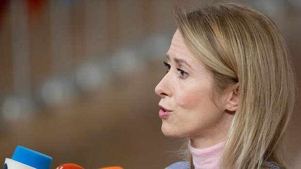 Кошкович призвал Каллас уйти в отставку из-за её заявления о Гренландии