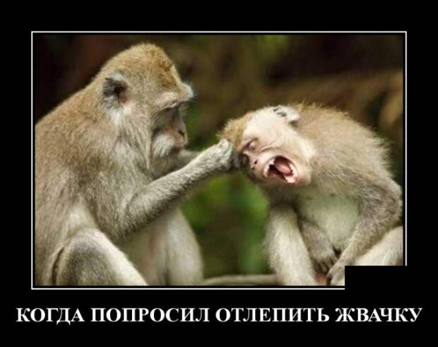 Демотиваторы