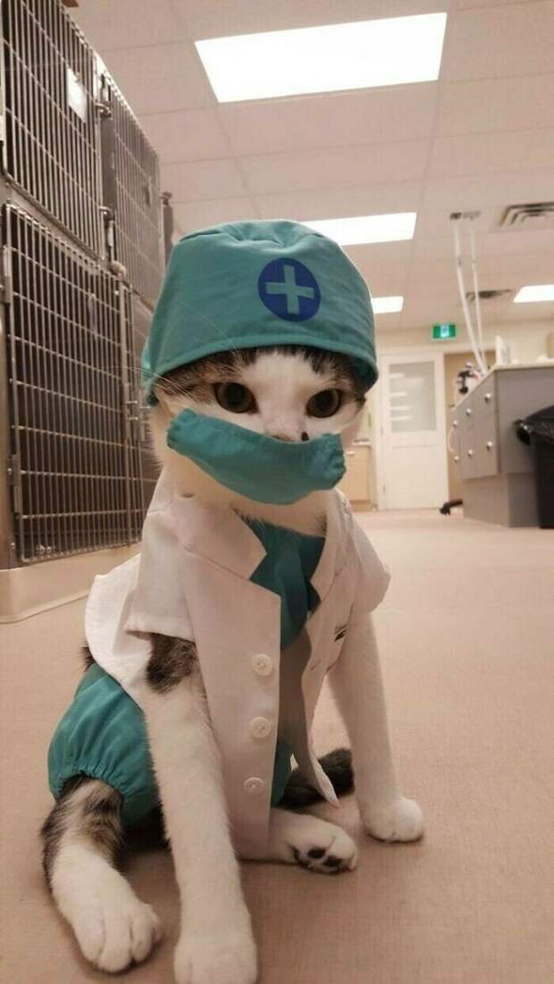 Самый очаровательный доктор