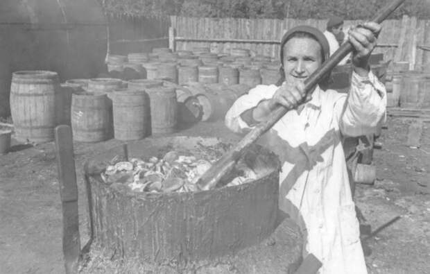 Сбор грибов в Великую Отечественную войну