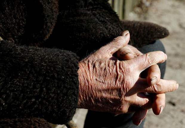 Жизнь в зоне отчуждения Чернобыльской АЭС (19 фото)