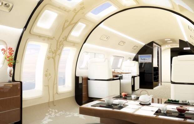 Компания, которая за $ 53 млн делает панорамные люки в частных самолетах.