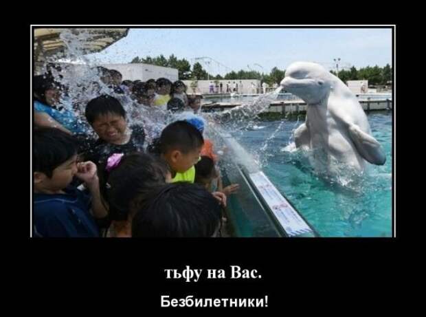 Демотиваторы (30 фото) Демотиваторы (30 фото)