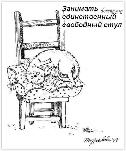дому-кота-Обязанности-картинки-смешные картинки-фотоприколы