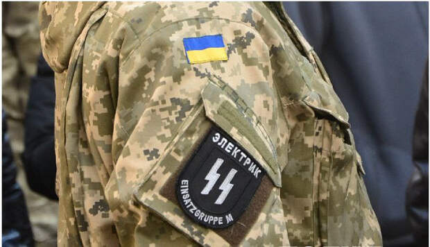 Стешин: Украинцы, вас абсолютно не жалко. Вы все виноваты