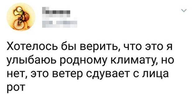 Смешные комментарии из социальных сетей картинки, комментарии, прикол, соцсети, юмор