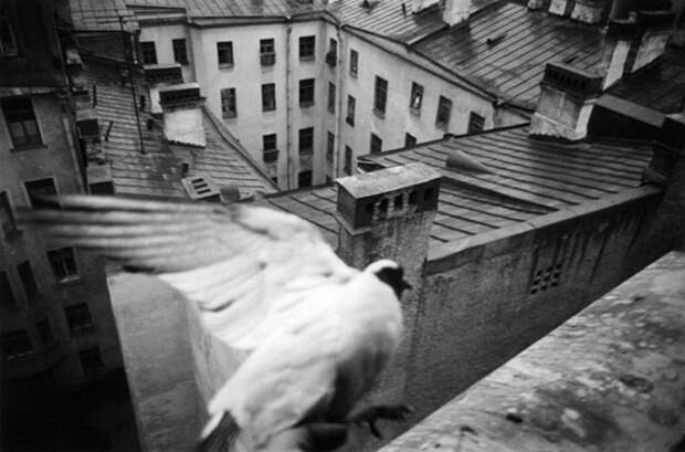 Символ свободы. СССР, Ленинград, 1975 год. Автор фотографии: Boris Smelov.