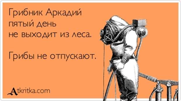 Грибник Аркадий пятый день не выходит из леса. Грибы не отпускают.