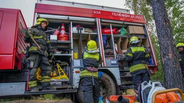 Больше 600 московских спасателей борются с лесными пожарами под Рязанью и Владимиром