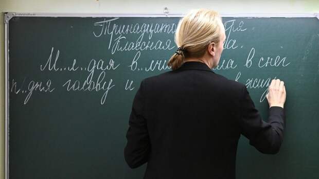 В Госдуме разъяснили особенности новой системы оплаты труда педагогов