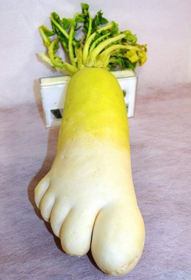 Редискины пальчики. овощи, фрукты