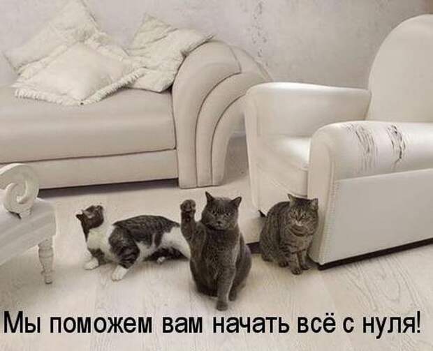 Мысли вслух :)