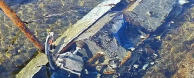 На пляже в Болгарии нашли беспилотник с четырьмя снарядами: фото