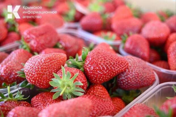 Проверка клубники в Крыму: что выявляют лаборатории и как защитить здоровье