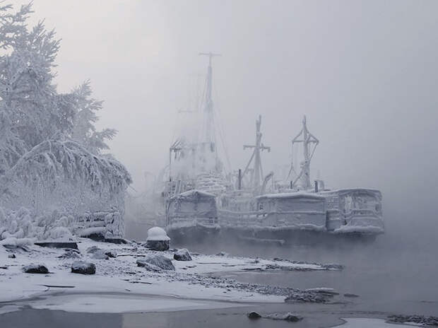 Лучшие фотографии National Geographic ноября 2014