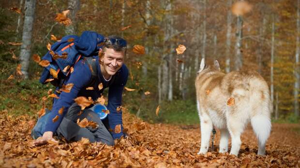 Чем больше ярких событий собака пережила вместе со своим человеком, тем крепче связанные с ним ассоциации. Фото MarcoKerschbaum/Pixabay